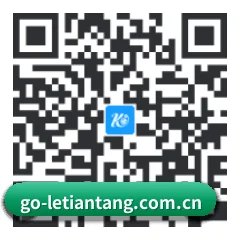 iOS 苹果版 二维码